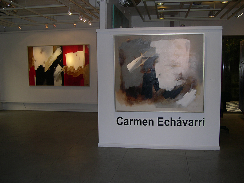 Exposición Carmen Echávarri