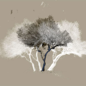 Maria-Paz-Vives,-Olivo-abanico-I,-pintura-digital-en-aluminio-brushed,-120-x-100-cm-950000-galeria-la-sala