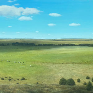 Berta-Iniguez-200x110-cm-Valor-2975000-Oleo-sobre-tela-galeria-la-sala