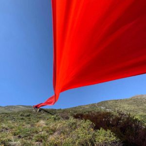 ANGELA-LEIBLE,-VIENTO,-IMPRESION-FOTOGRAFICA,-70X70-CM,-USD3000-galeria-la-sala