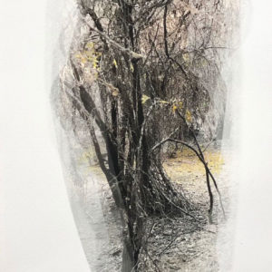 Berta-Iniguez-71-x-44cm-Grabado-417000-galeria-la-sala
