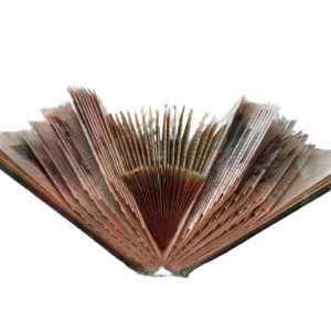 Josefina-Eyzaguirre,-30-x-30-cm,-Escultura-Libro-en-Caja-Acrilico-400000-galeria-la-sala