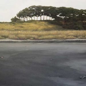 Berta-Iniguez-Borde-Costero-acrilico-sobre-tela-120-x-220-cm-4715000-galeria-arte-la-sala
