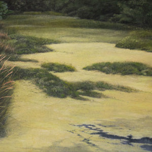 Berta-Iniguez-Poza-acrilico-sobre-tela,-90-x-150-cm-2500000-galeria-arte-la-sala
